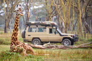 Zimbabwe's True Wildroutes Safari Tour
